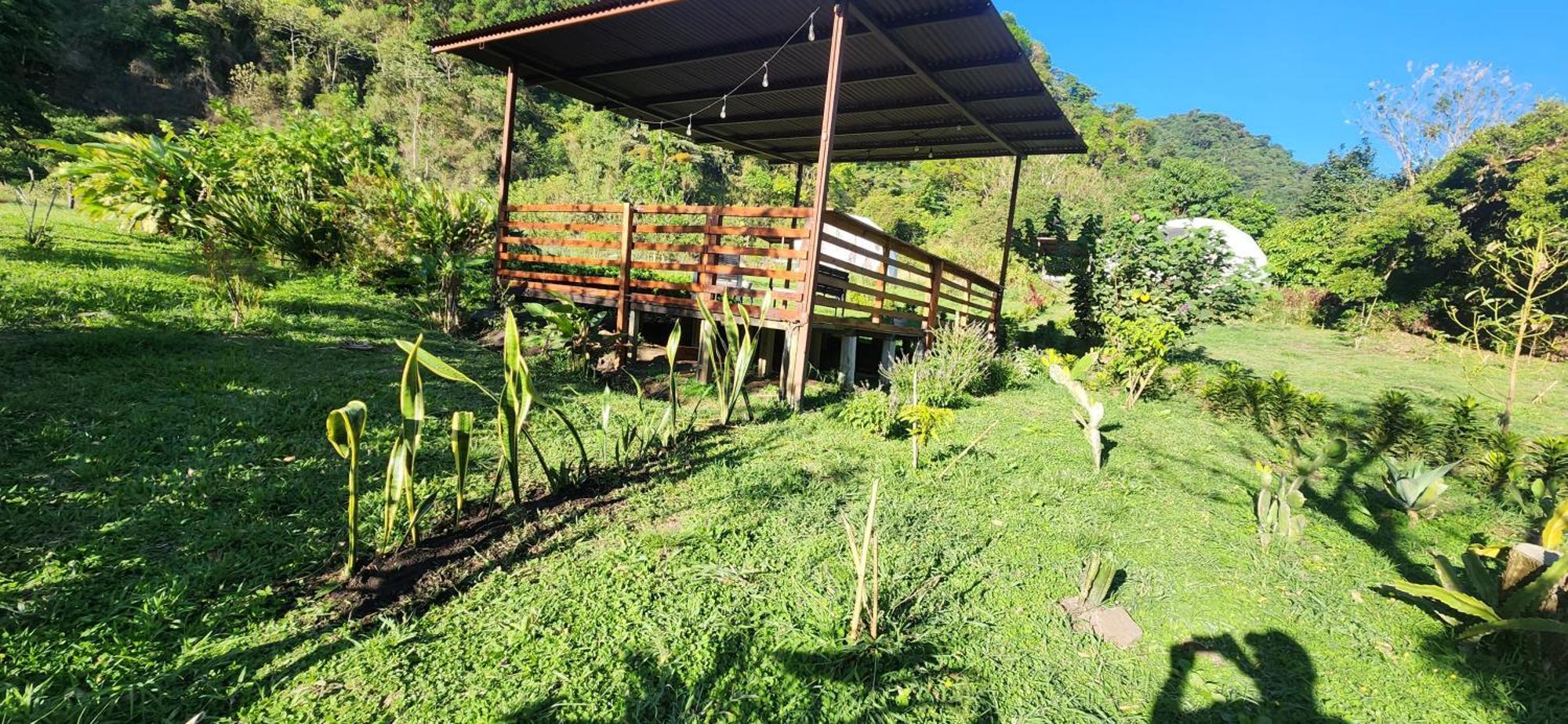 Glamping Monteverde Εξωτερικό φωτογραφία