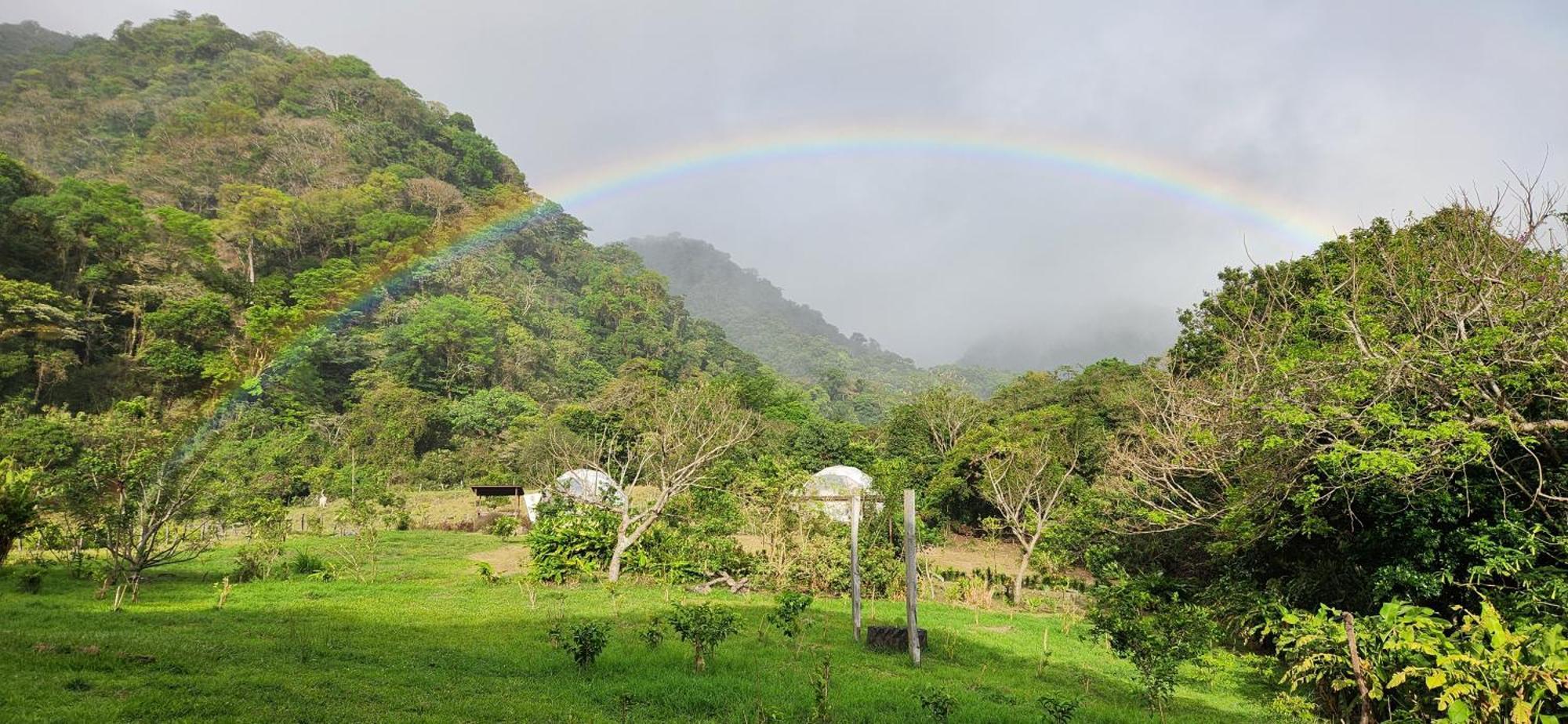 Glamping Monteverde Εξωτερικό φωτογραφία