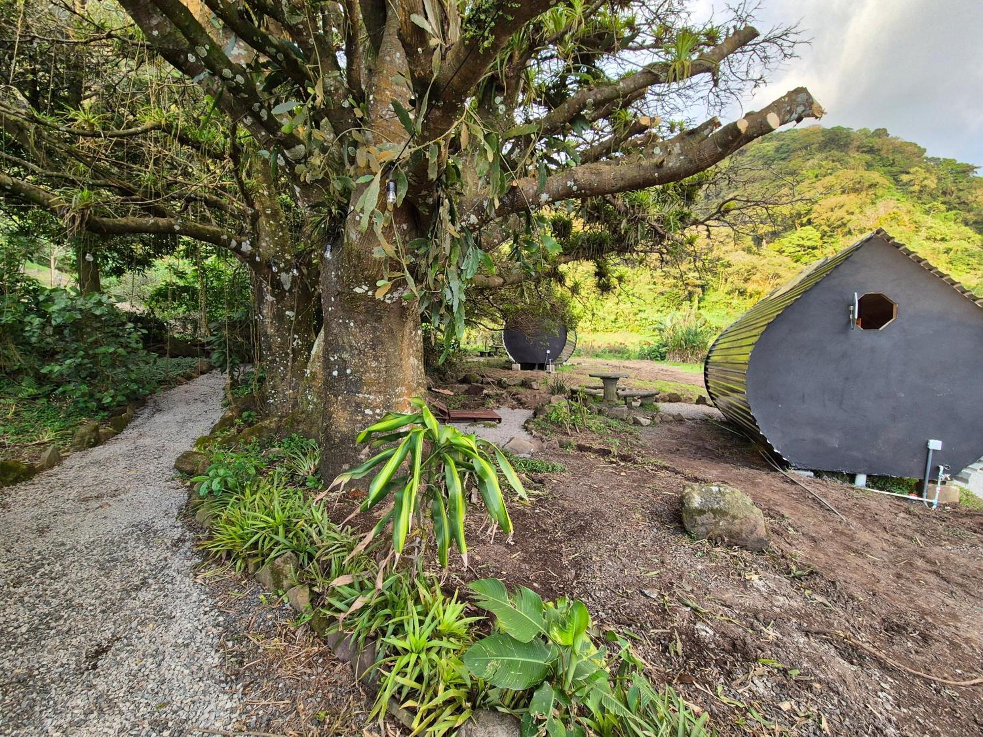 Glamping Monteverde Εξωτερικό φωτογραφία